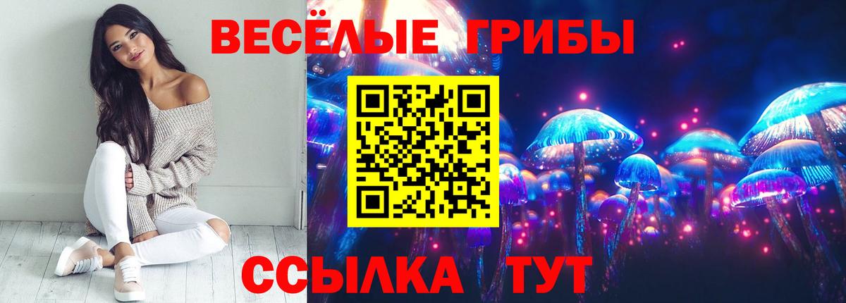 Галлюциногенные грибы GOLDEN TEACHER  Вход с VPN  Всеволожск  Псилоцибиновые грибы мицелий 