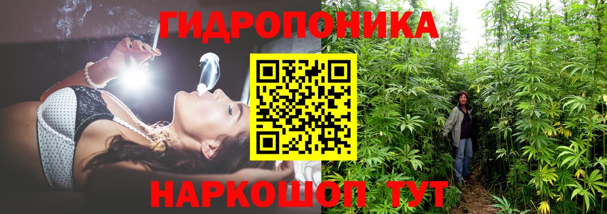 Конопля гибрид  Канабис AK-47  Всеволожск  Вход с VPN  Марихуана AK-47 